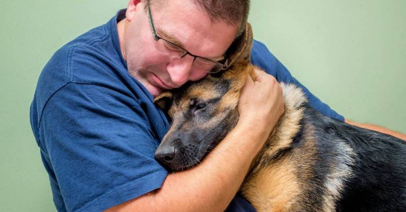 Pet Bereavement