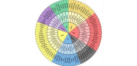 Wheel of Emotions