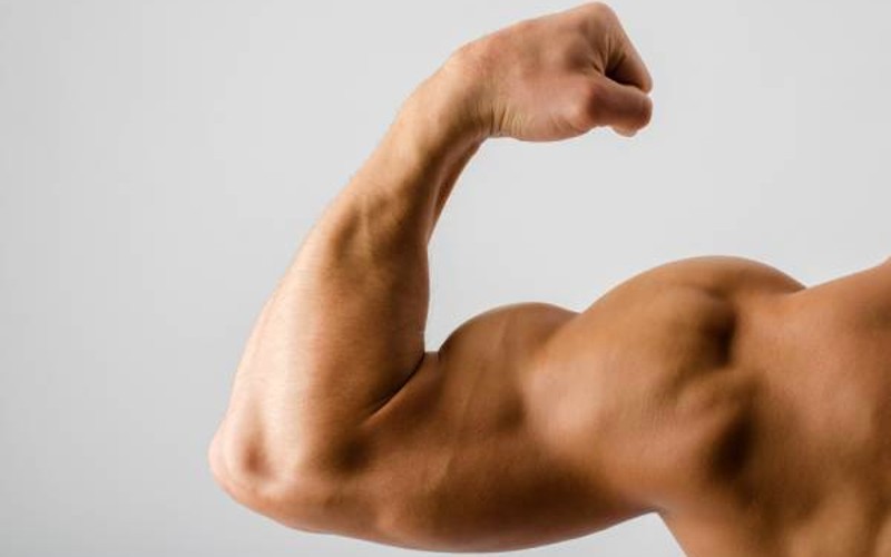 Signs of Fragile Masculinity